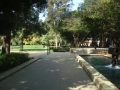 UCLA